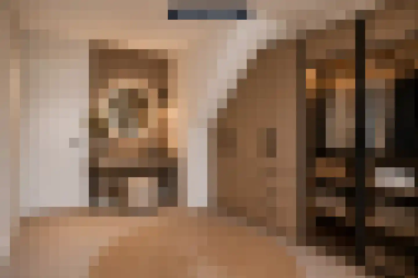 Ereprijsstraat 38 Uden thumbnail 28