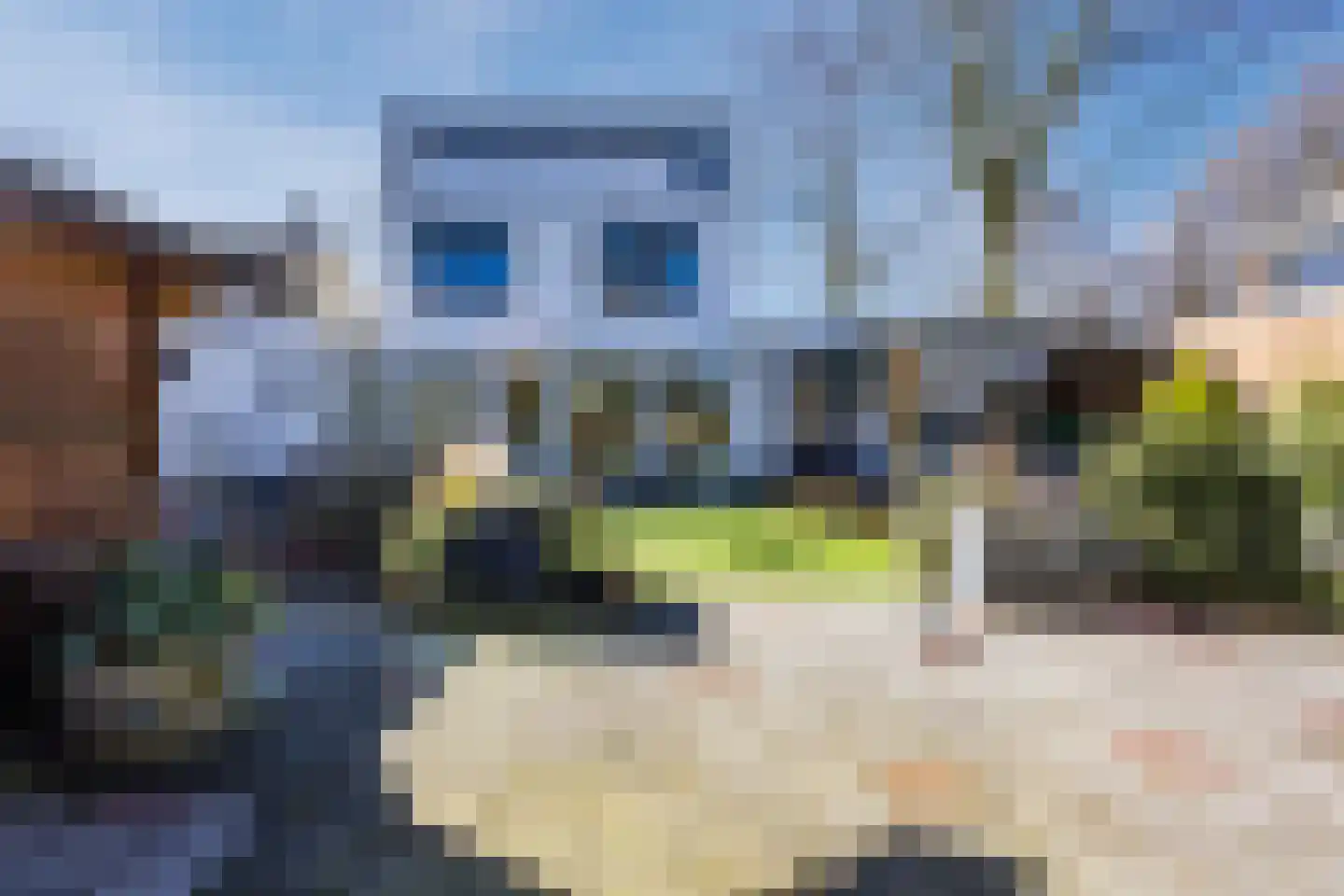 Ereprijsstraat 38 Uden thumbnail 4