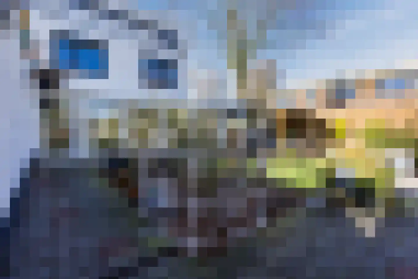 Ereprijsstraat 38 Uden thumbnail 41