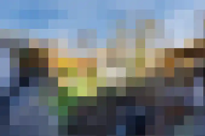 Ereprijsstraat 38 Uden thumbnail 42