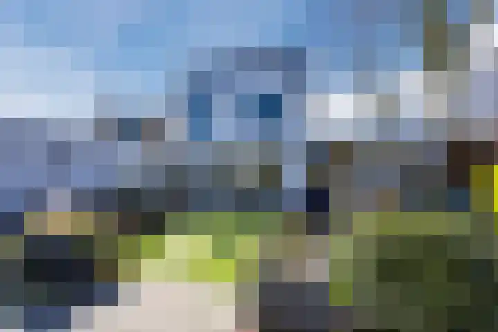 Ereprijsstraat 38 Uden thumbnail 48