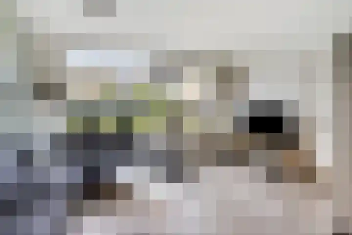 Ereprijsstraat 4 Assen thumbnail 12