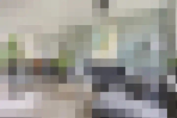 Ereprijsstraat 4 Assen thumbnail 15