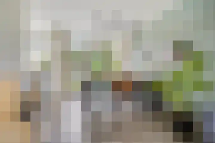 Ereprijsstraat 4 Assen thumbnail 16