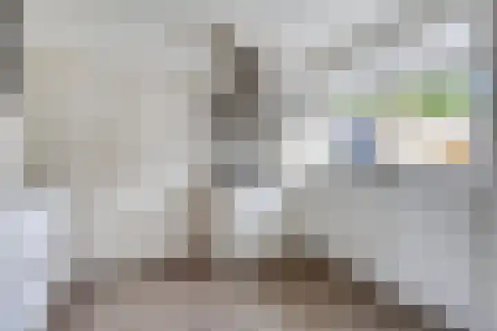Ereprijsstraat 4 Assen thumbnail 18