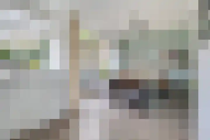 Ereprijsstraat 4 Assen thumbnail 20