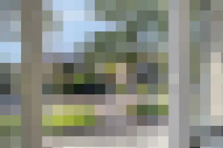 Ereprijsstraat 4 Assen thumbnail 31