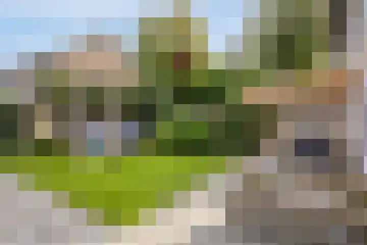 Ereprijsstraat 4 Assen thumbnail 33