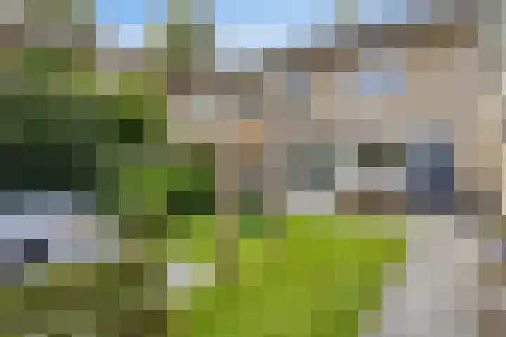 Ereprijsstraat 4 Assen thumbnail 35