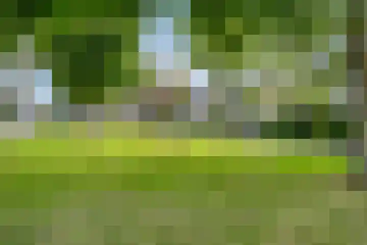 Ereprijsstraat 4 Assen thumbnail 38