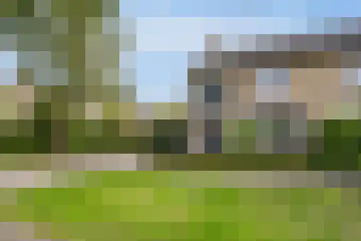 Ereprijsstraat 4 Assen thumbnail 6