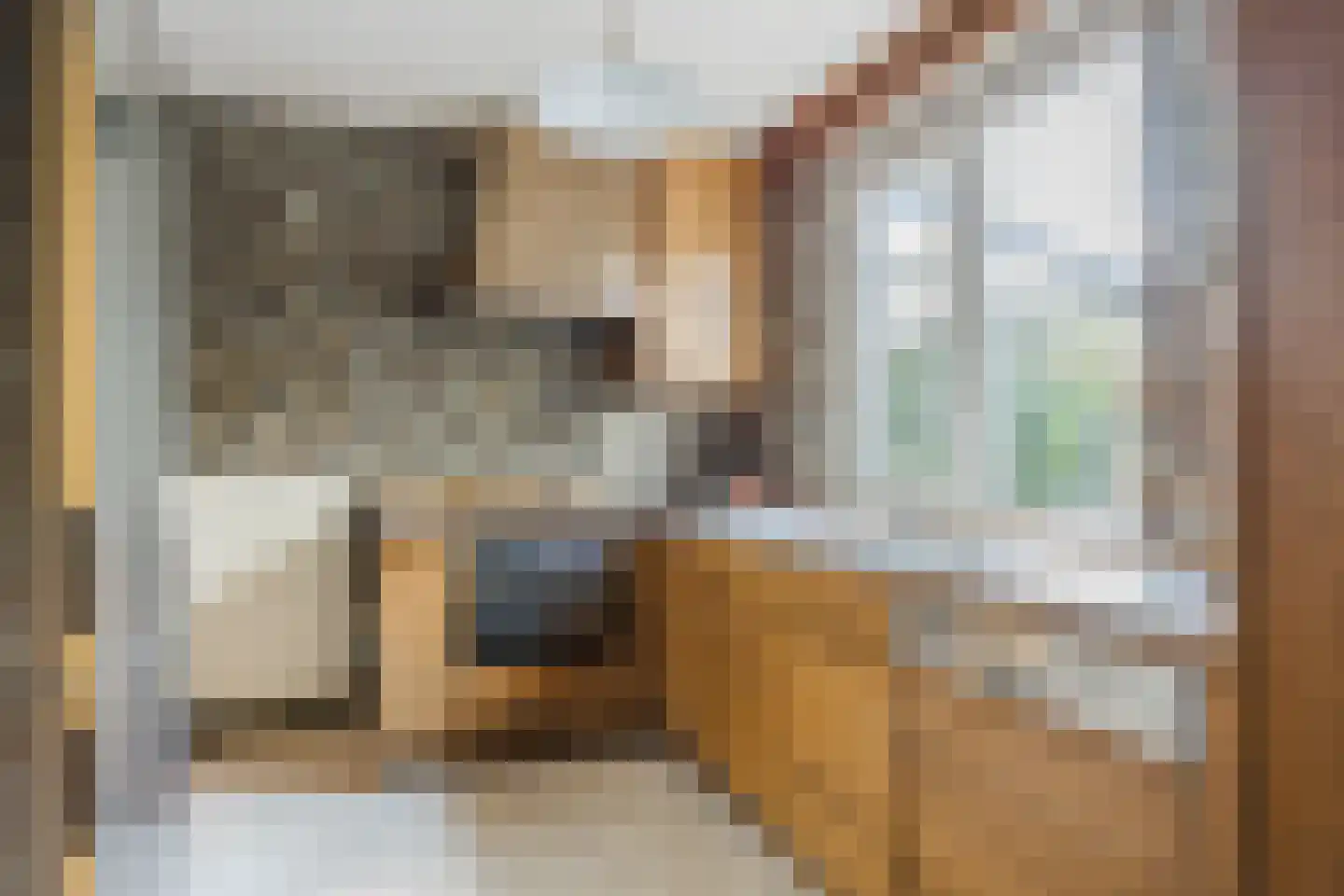 Ereprijsstraat 45 Uden thumbnail 17
