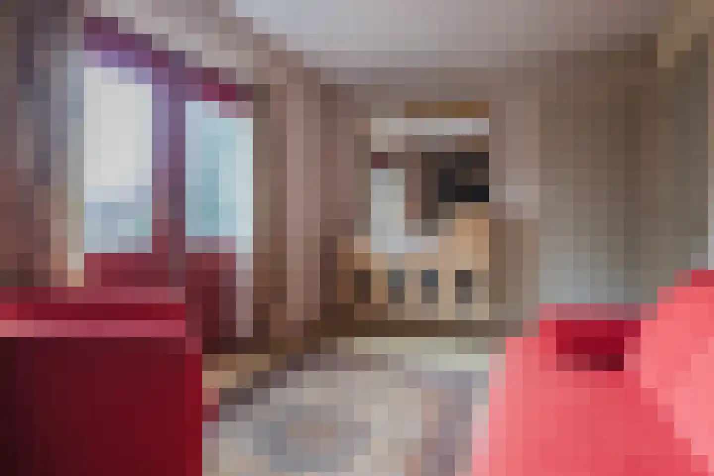 Ereprijsstraat 45 Uden thumbnail 21