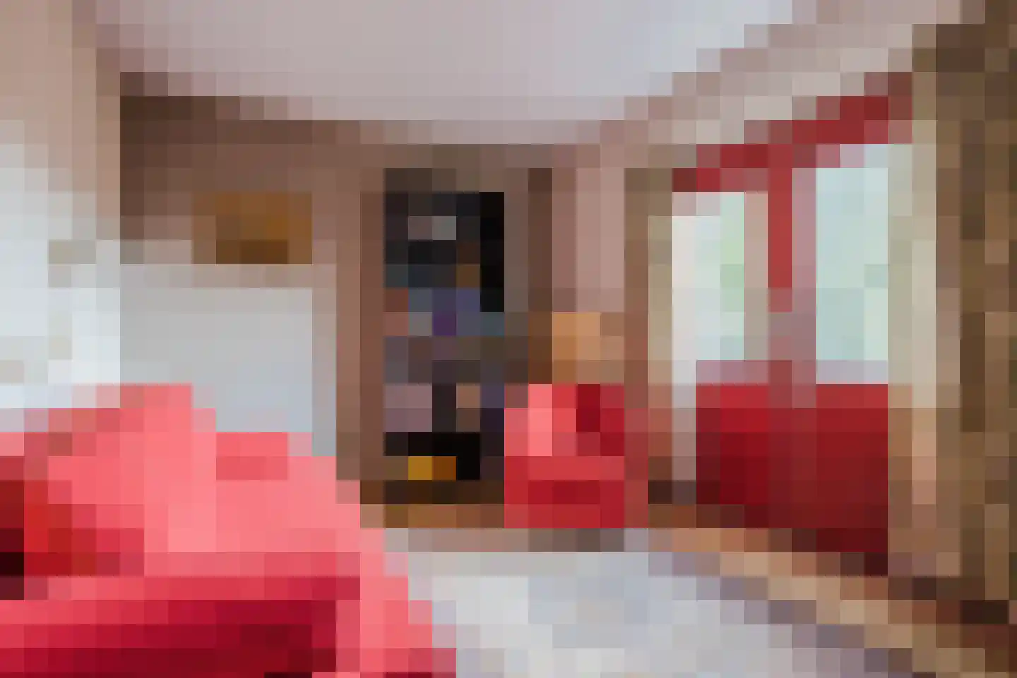 Ereprijsstraat 45 Uden thumbnail 22