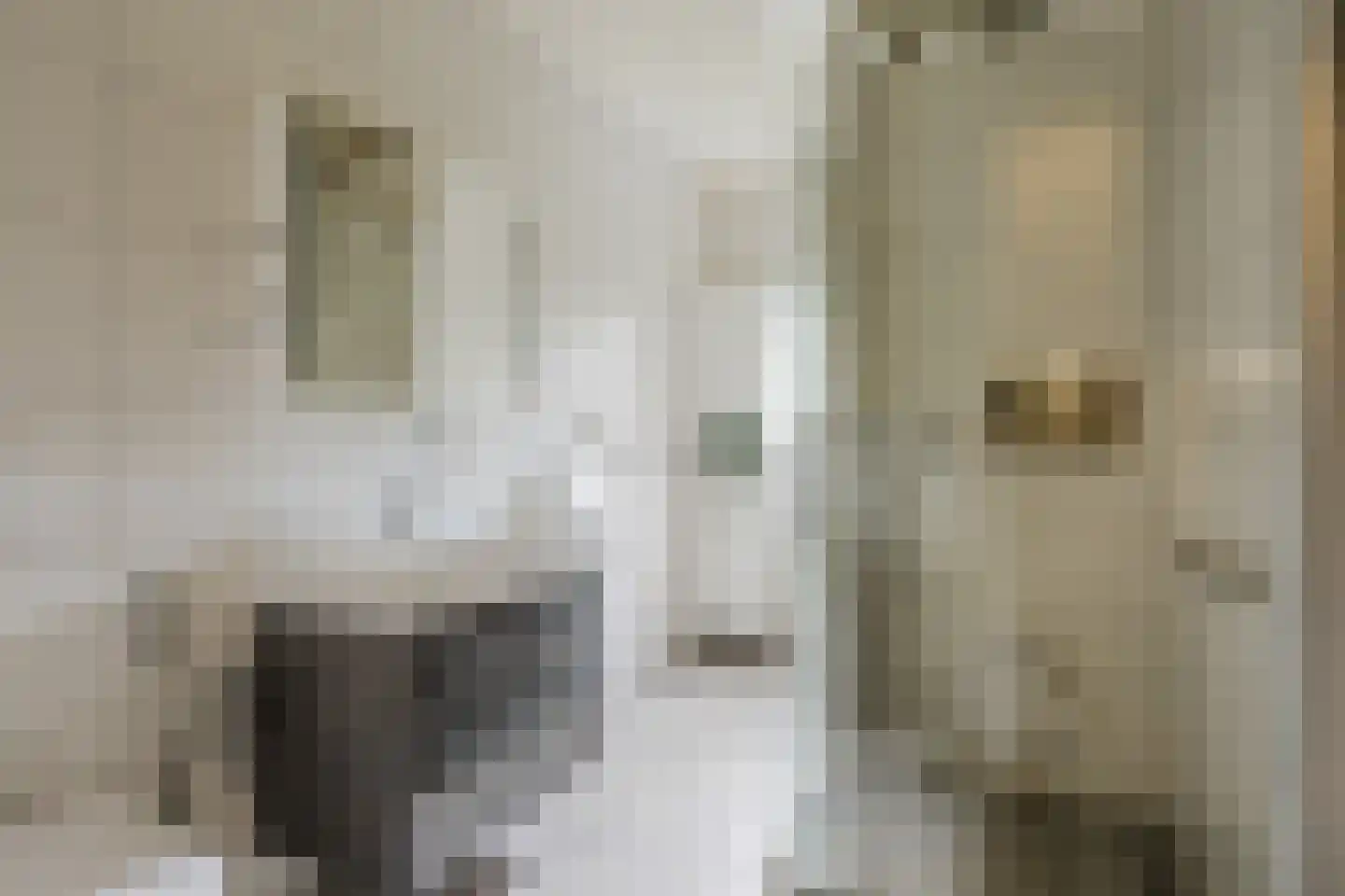 Ereprijsstraat 45 Uden thumbnail 29