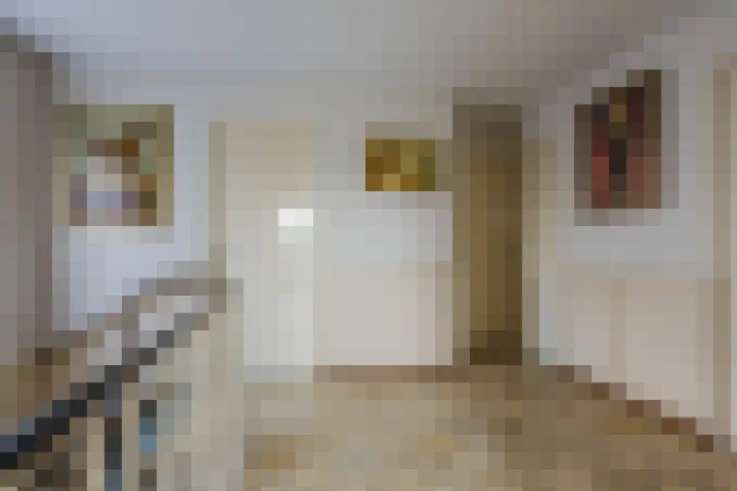Ereprijsstraat 45 Uden thumbnail 30