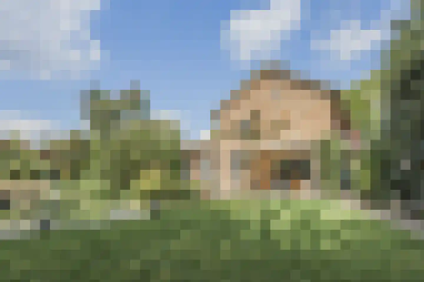 Ereprijsstraat 45 Uden thumbnail 34