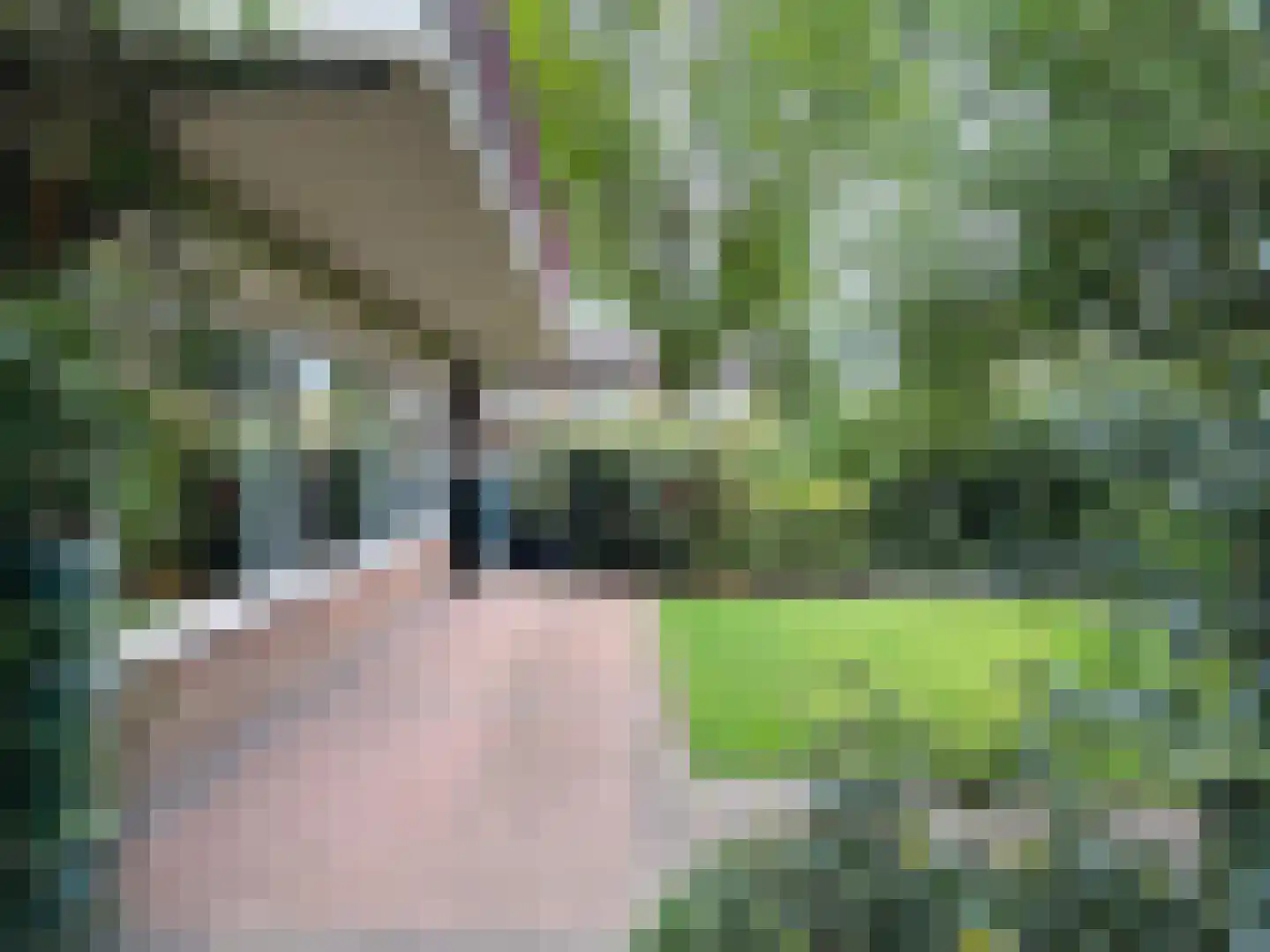 Ereprijsstraat 45 Uden thumbnail 36