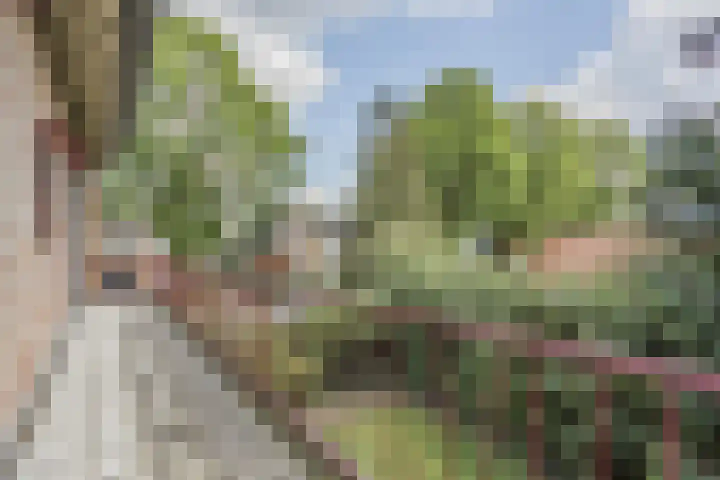 Ereprijsstraat 45 Uden thumbnail 37