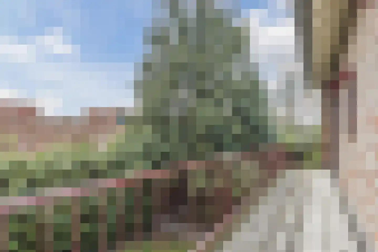 Ereprijsstraat 45 Uden thumbnail 38