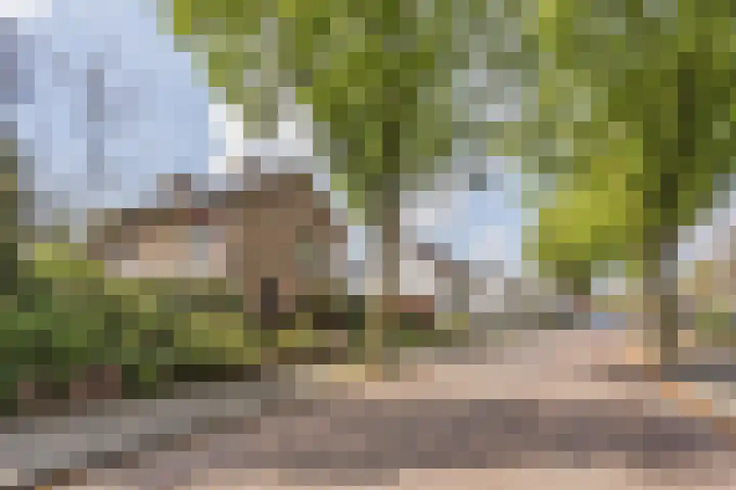 Ereprijsstraat 45 Uden thumbnail 4