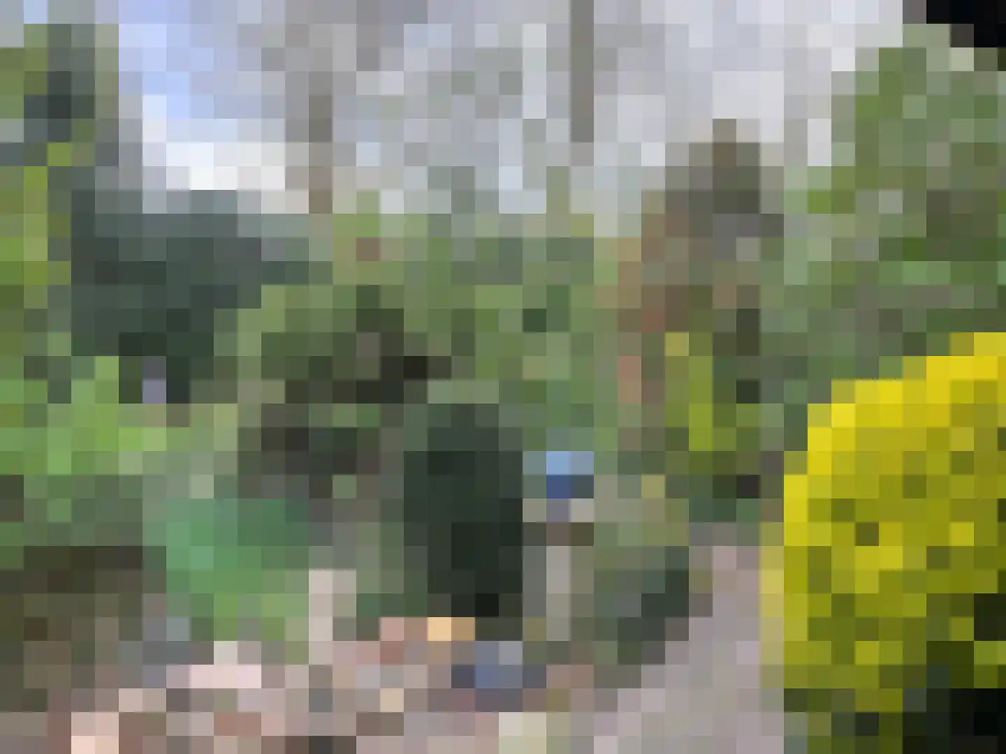 Ereprijsstraat 45 Uden thumbnail 40
