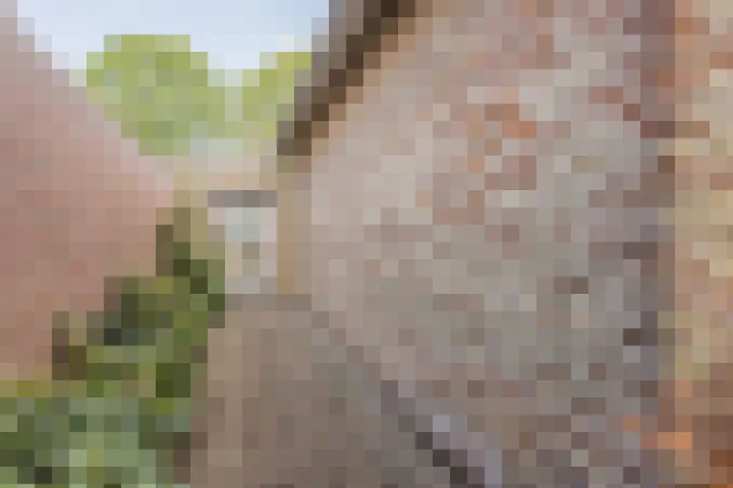 Ereprijsstraat 45 Uden thumbnail 43