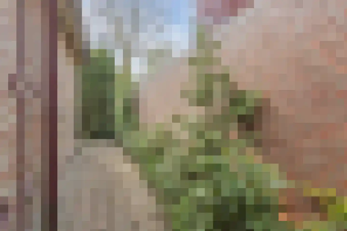 Ereprijsstraat 45 Uden thumbnail 44
