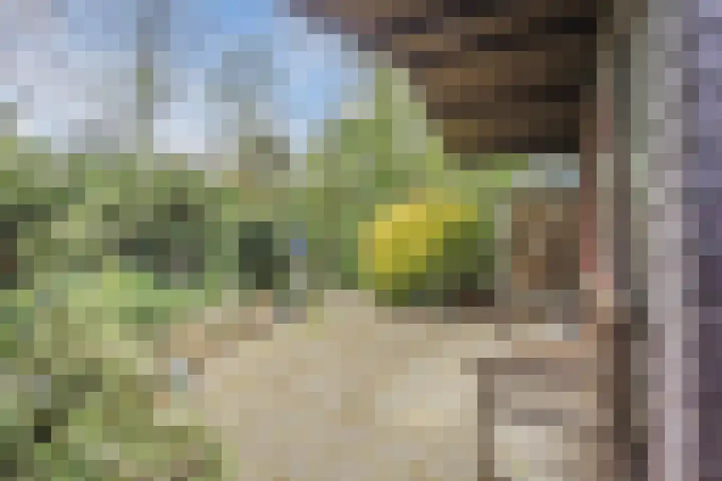 Ereprijsstraat 45 Uden thumbnail 45