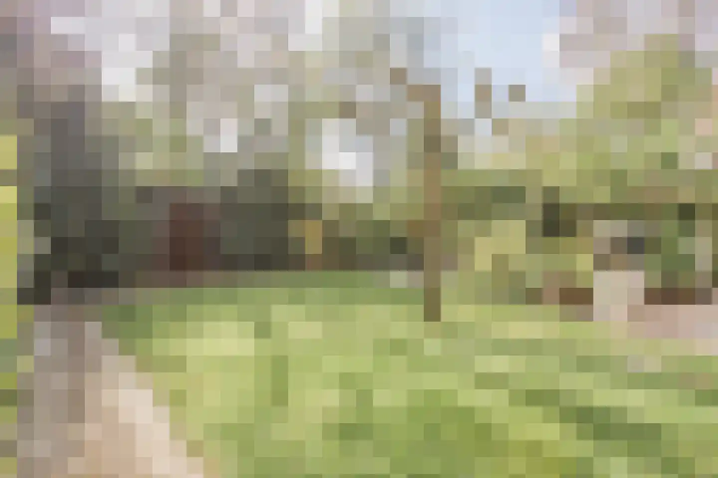 Ereprijsstraat 45 Uden thumbnail 46