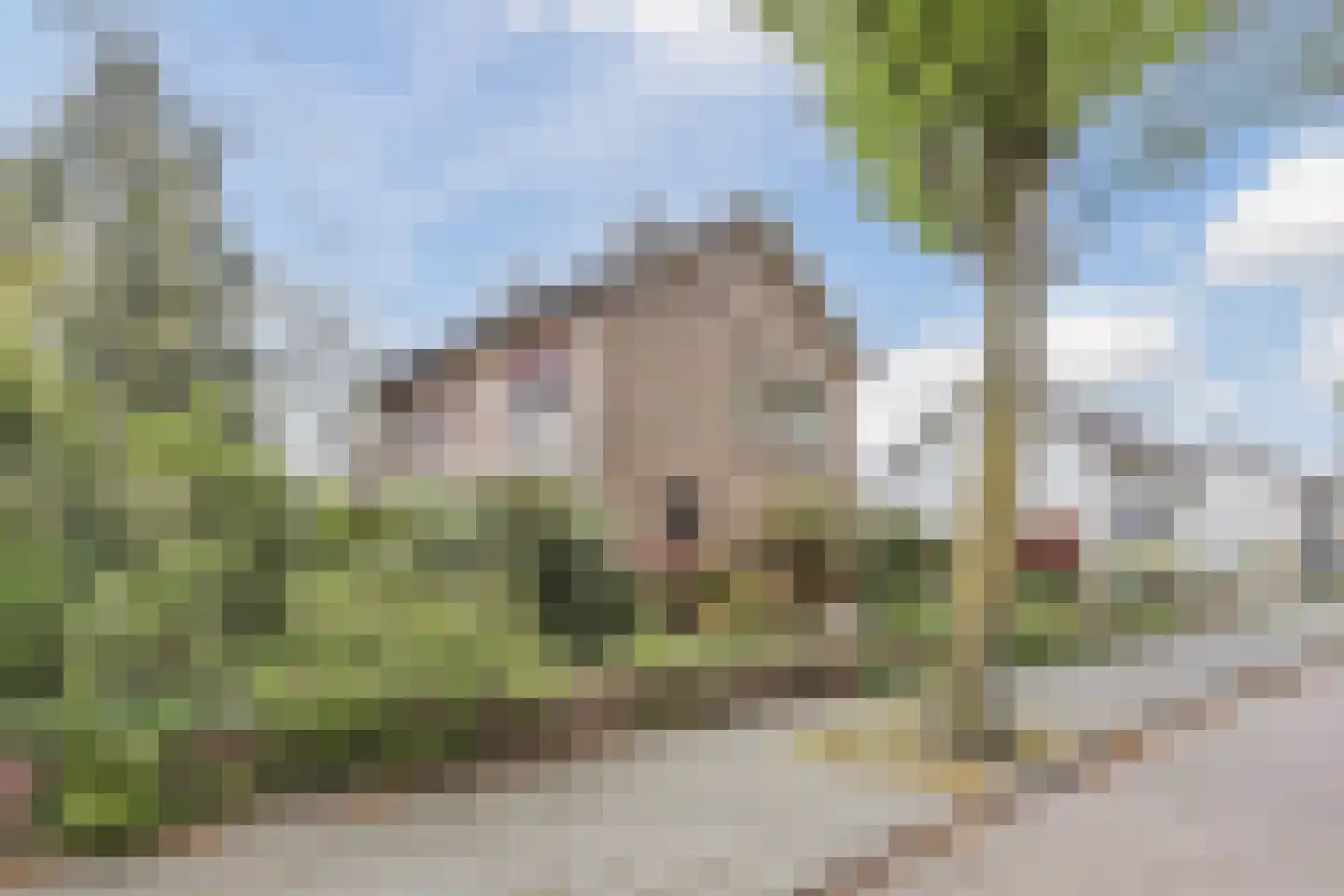 Ereprijsstraat 45 Uden thumbnail 47