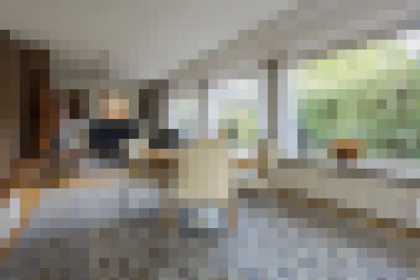 Ereprijsstraat 45 Uden thumbnail 5