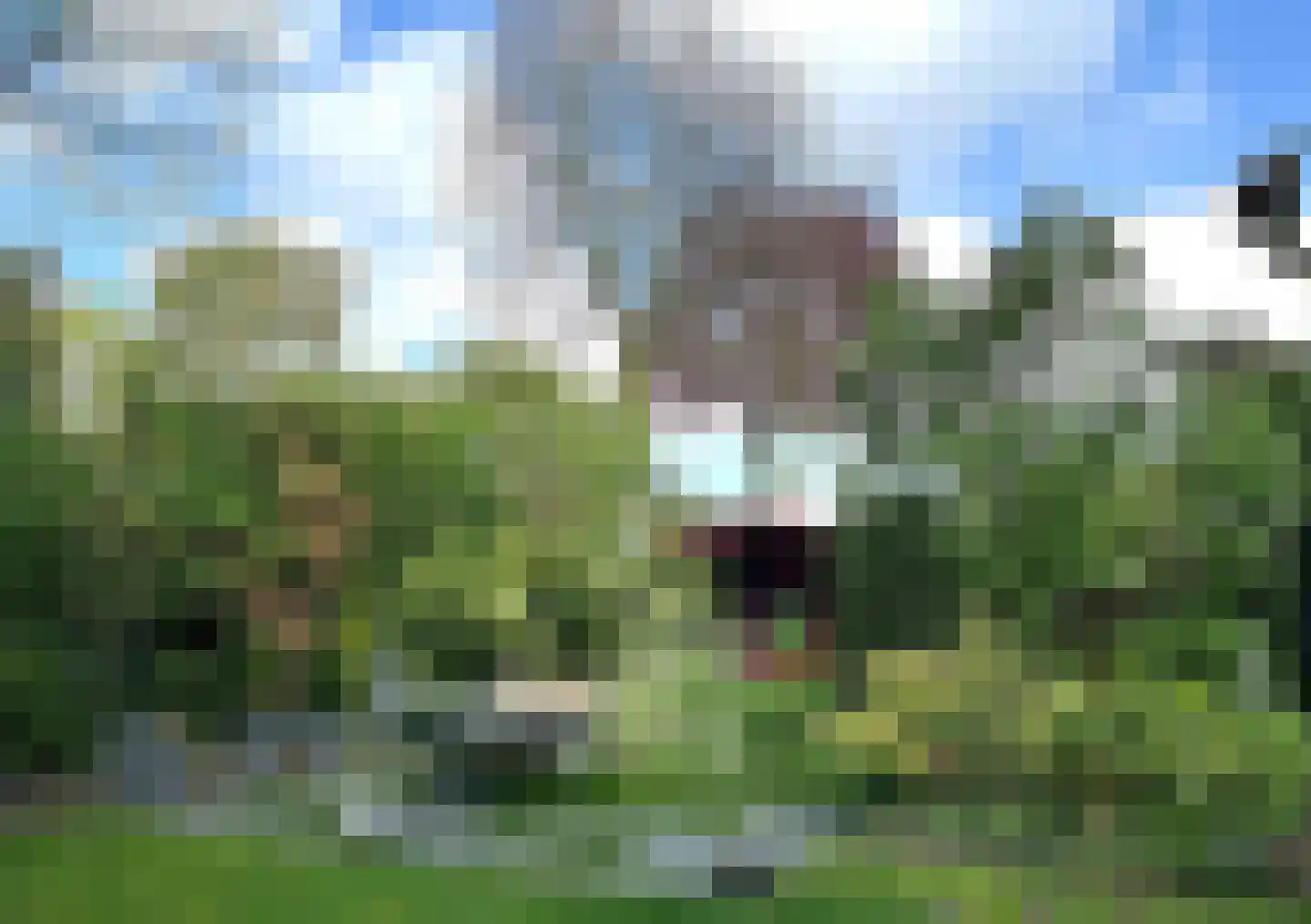 Ereprijsstraat 45 Uden thumbnail 52