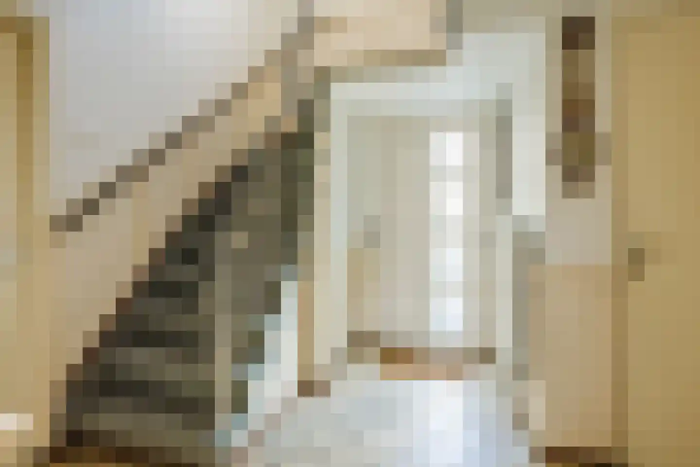 Ereprijsstraat 45 Uden thumbnail 7