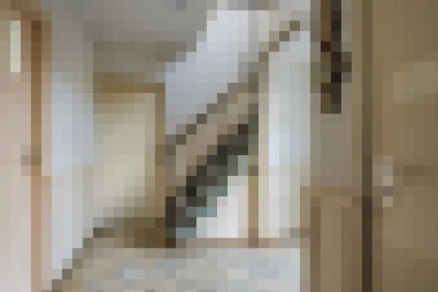 Ereprijsstraat 45 Uden thumbnail 8