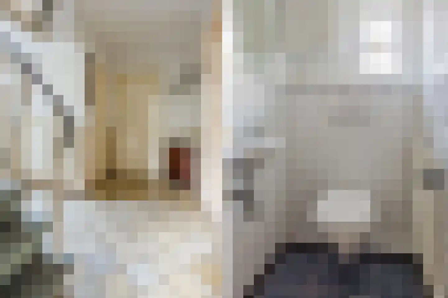 Ereprijsstraat 45 Uden thumbnail 9