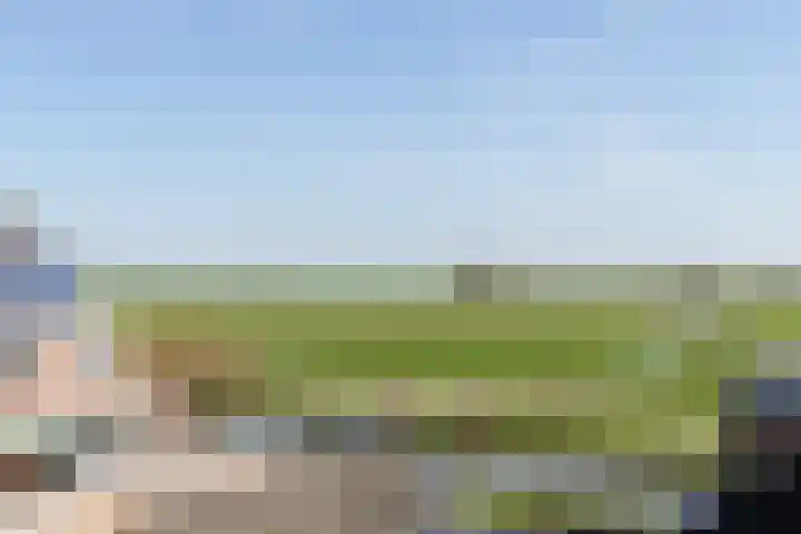 Ereprijsstraat 6 Bleskensgraaf ca thumbnail 24
