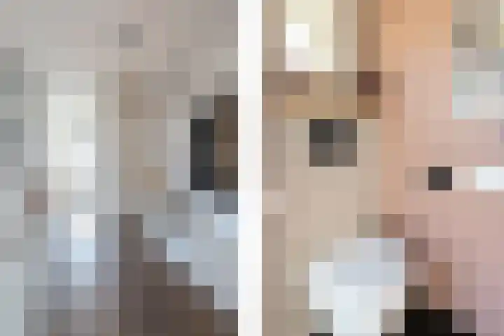 Ereprijsstraat 6 Bleskensgraaf ca thumbnail 5