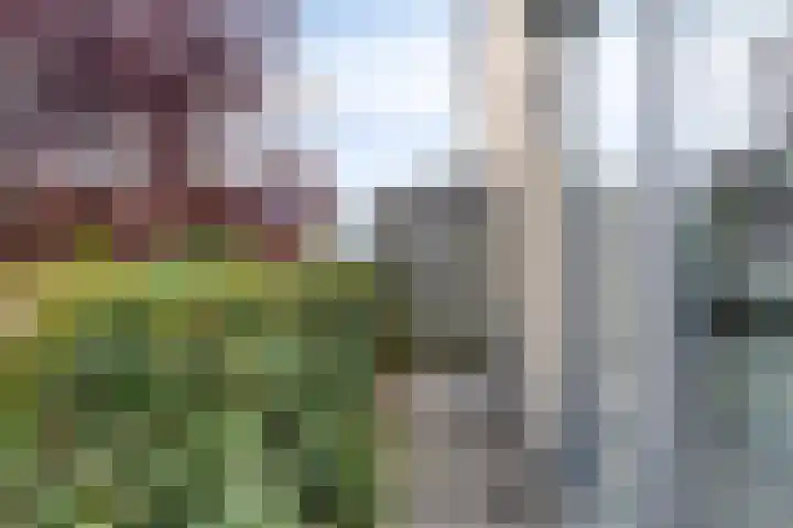 Ereprijsstraat 72 Soest thumbnail 15