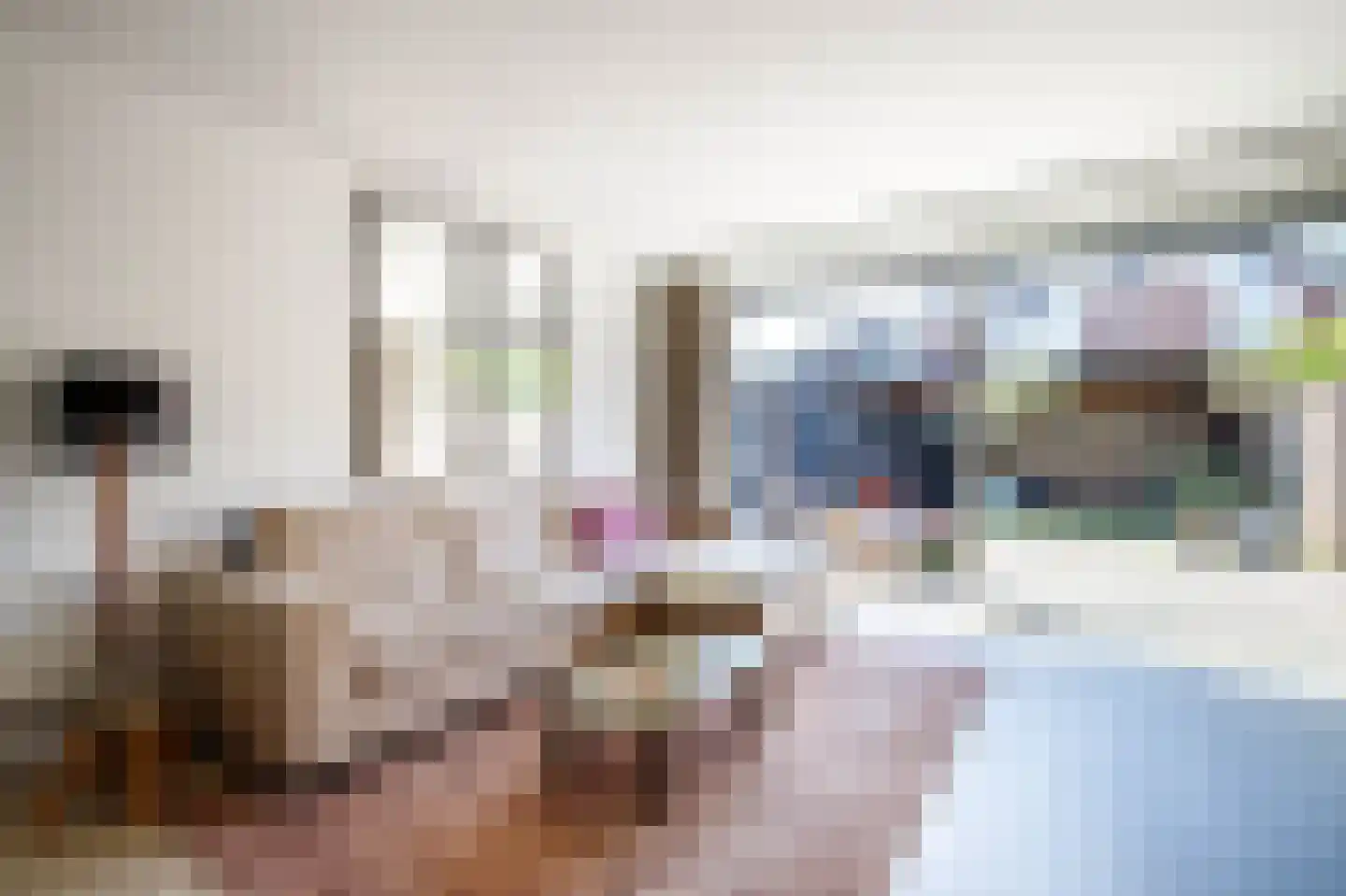 Ereprijsveld 22 Nieuwerkerk aan den IJssel thumbnail 10