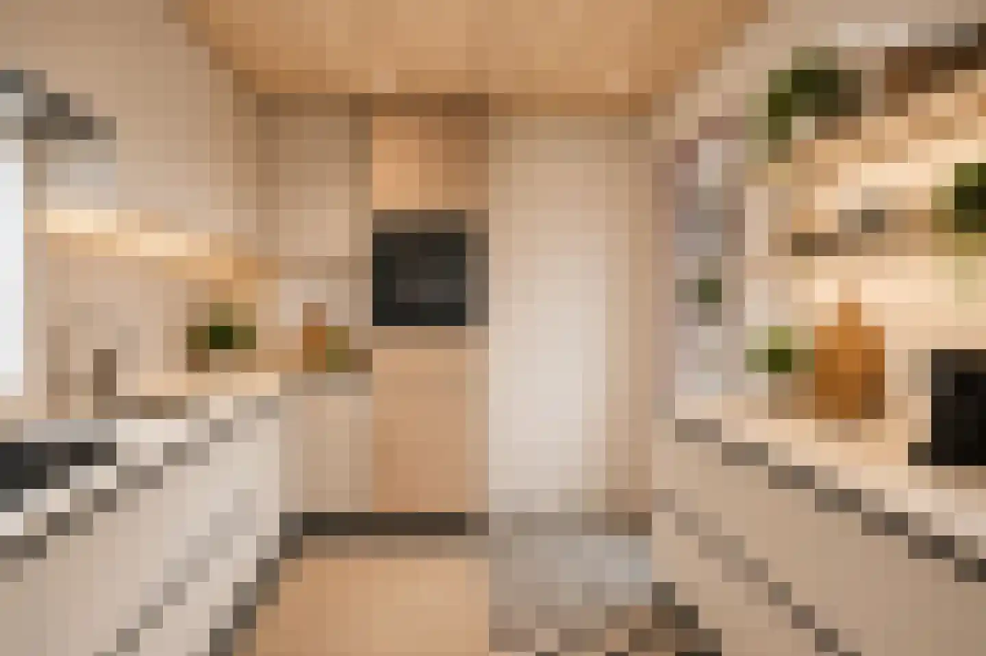 Ereprijsweg 1 Bergen (NH) thumbnail 16