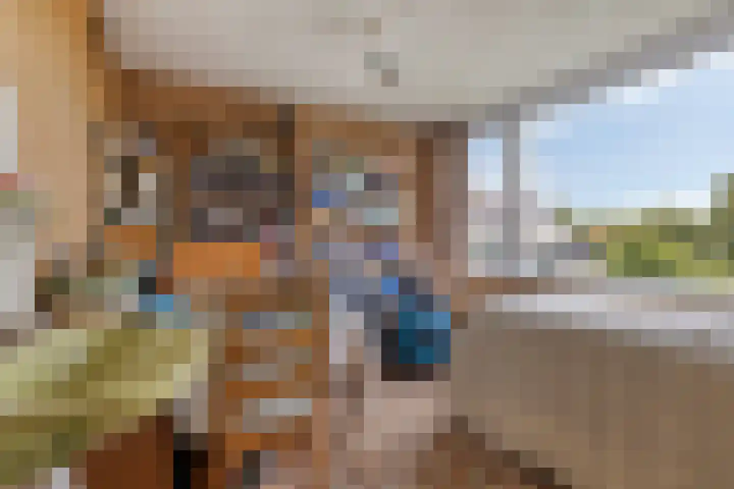 Ereprijsweg 1 Bergen (NH) thumbnail 21