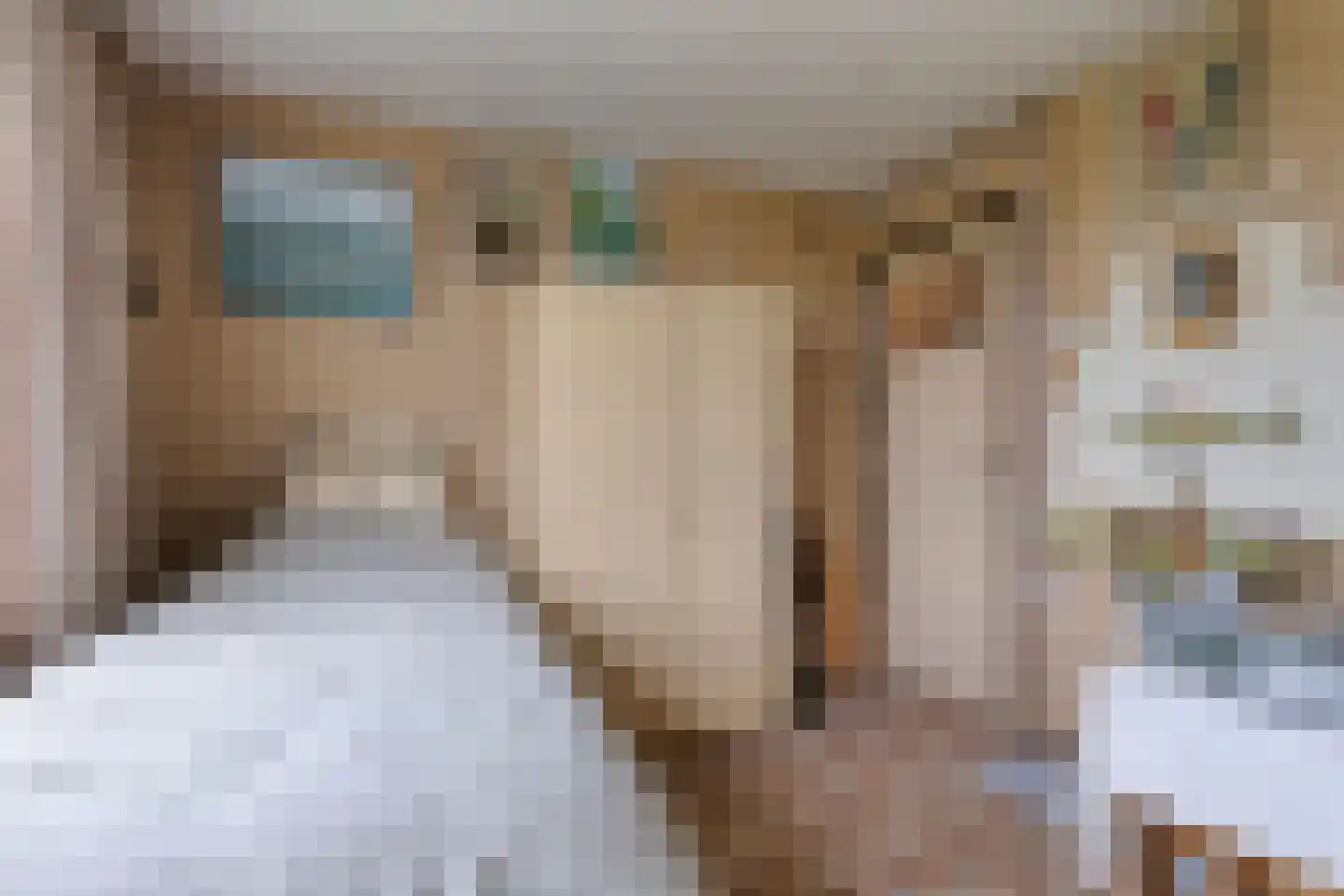 Ereprijsweg 1 Bergen (NH) thumbnail 22
