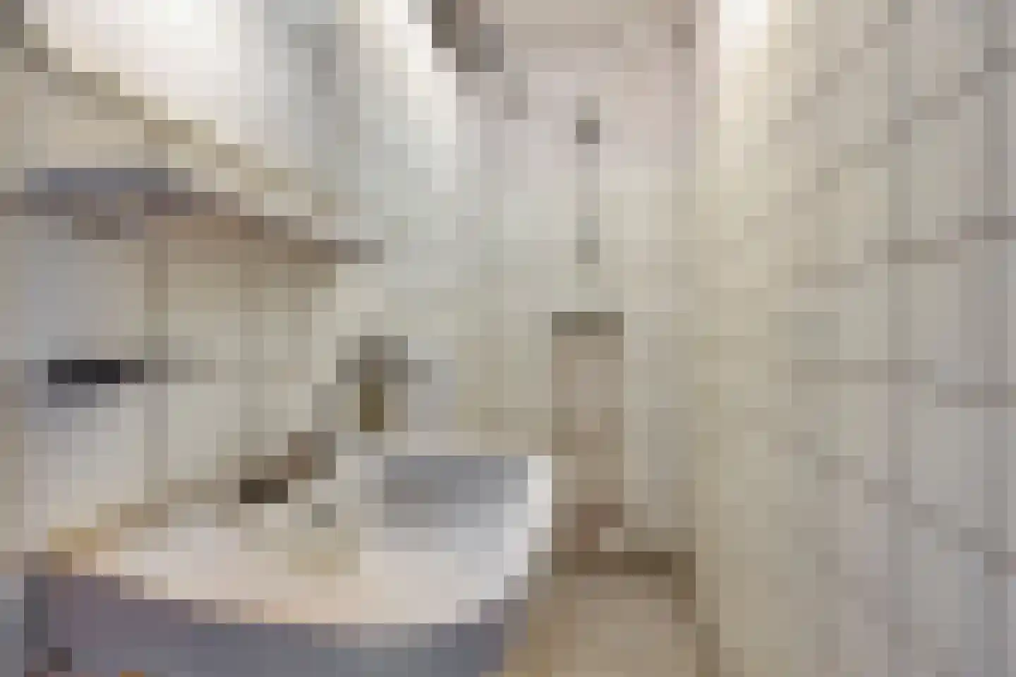 Ereprijsweg 1 Bergen (NH) thumbnail 25