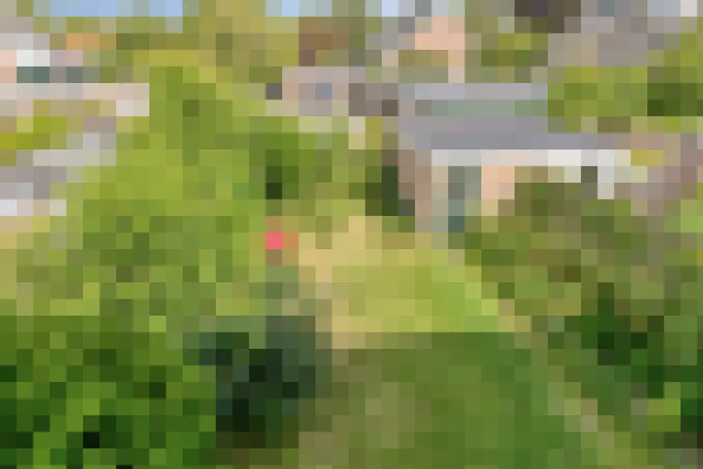 Ereprijsweg 1 Bergen (NH) thumbnail 28