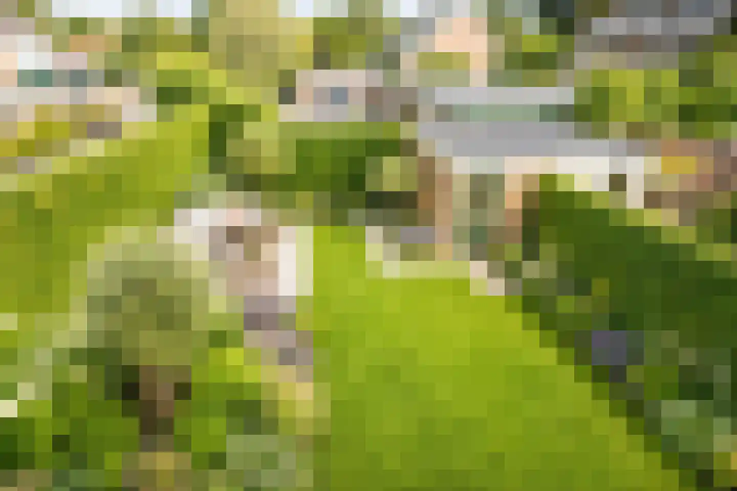 Ereprijsweg 1 Bergen (NH) thumbnail 29