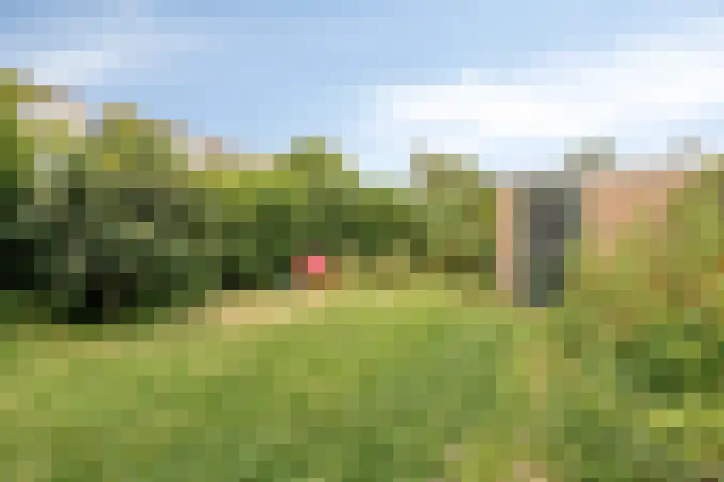 Ereprijsweg 1 Bergen (NH) thumbnail 30