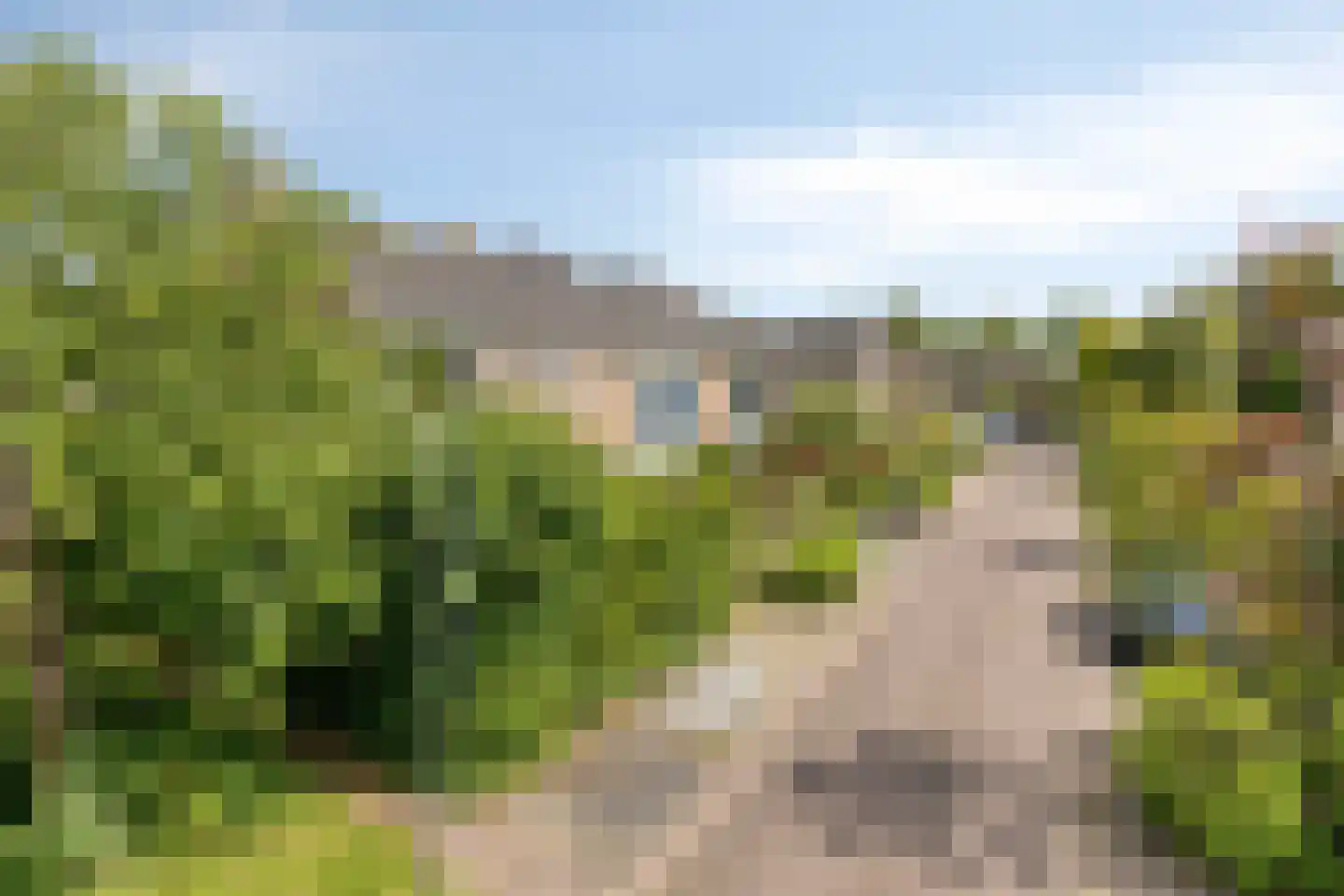 Ereprijsweg 1 Bergen (NH) thumbnail 36
