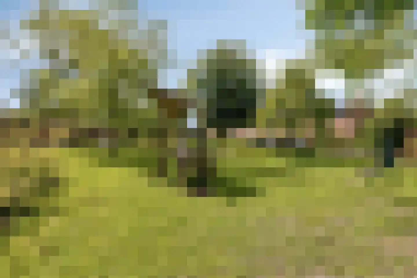 Ereprijsweg 1 Bergen (NH) thumbnail 37