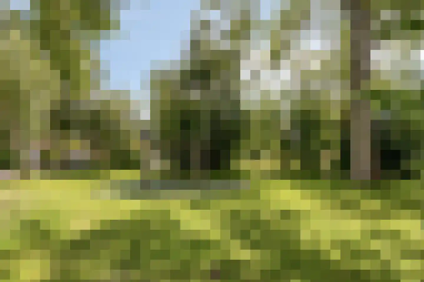 Ereprijsweg 1 Bergen (NH) thumbnail 38